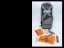 Kitech FRS V2 — Freeride komorový kite - Velikost: 15m2 verze ULTRALIGHT 27g